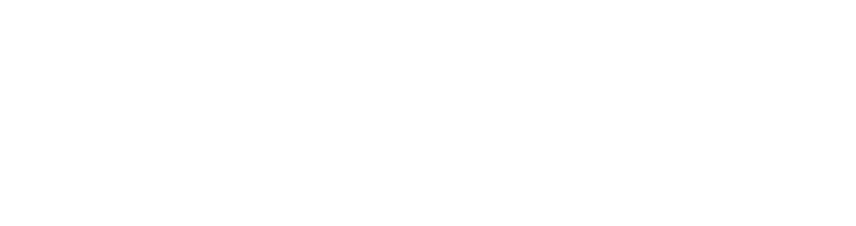 Relief Operations International logo