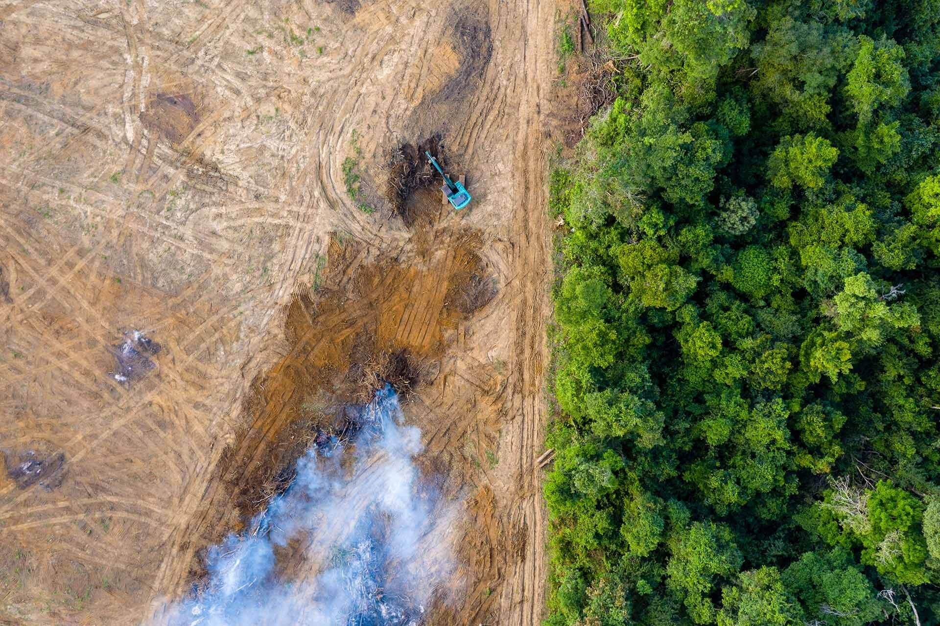 Aerial view comparing deforested land and intact rainforest